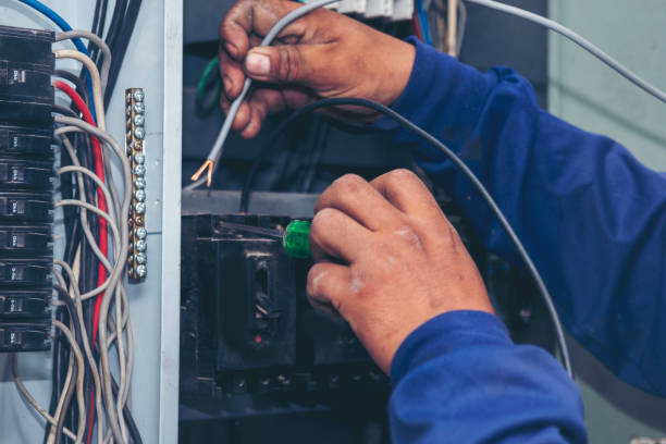 Best Residential Electrician Services  in Papillion, NE